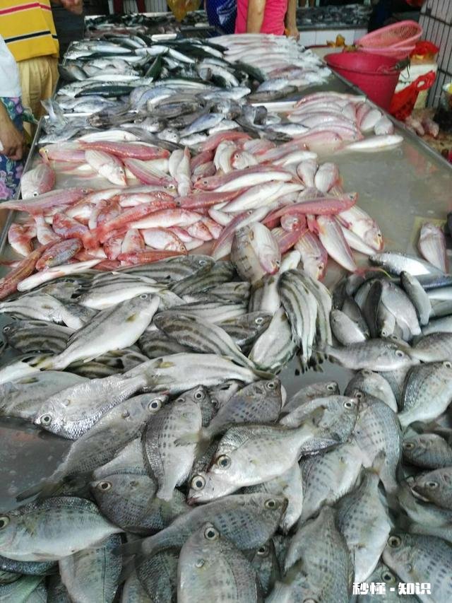 进入10月又该从北到南去过冬了，你会选海南、北海还是西双版纳