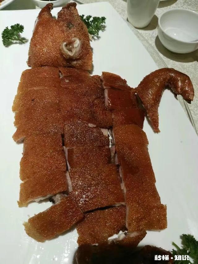 进入10月又该从北到南去过冬了，你会选海南、北海还是西双版纳