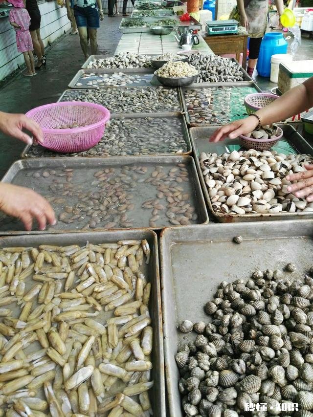 进入10月又该从北到南去过冬了，你会选海南、北海还是西双版纳