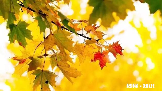 你认为女同志50岁退休早吗