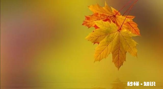 你认为女同志50岁退休早吗