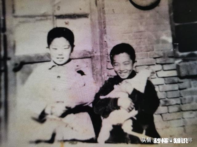 你们的童年回忆，有哪些画面是一辈子也忘不了的