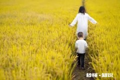 有没有觉得自己一夜之间长大了