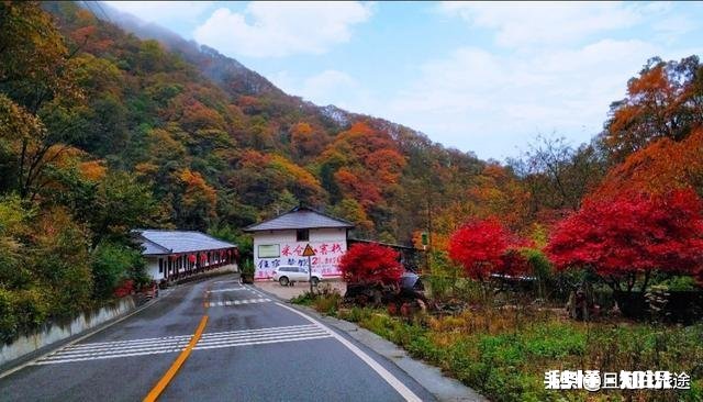 想把自家小院发展成民宿需要什么手续，需要注意什么
