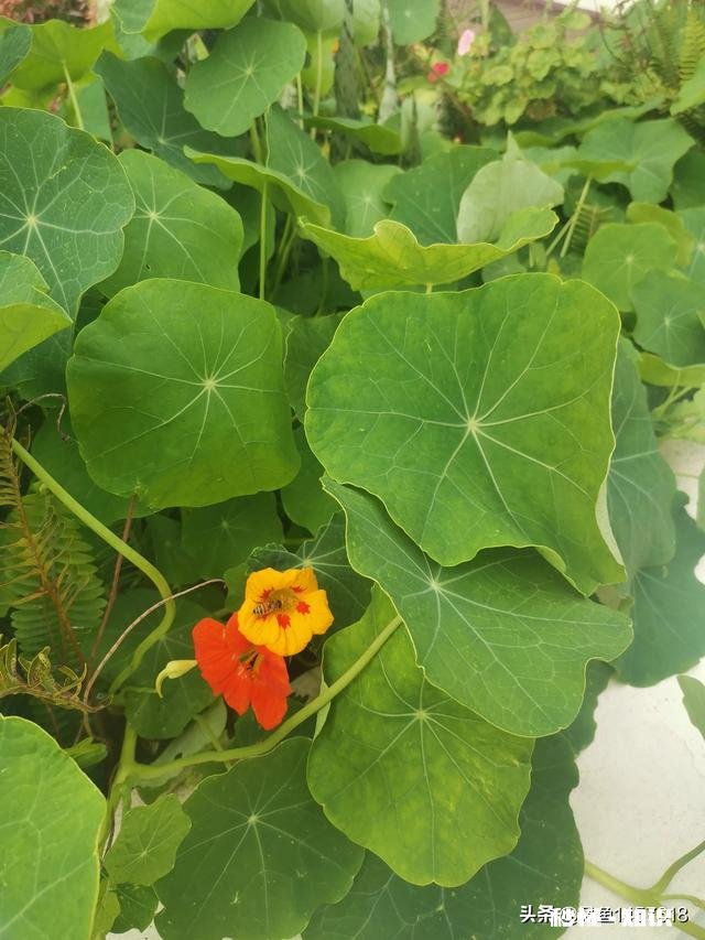 活在当下，除了生死看淡，还有什么值得你留恋