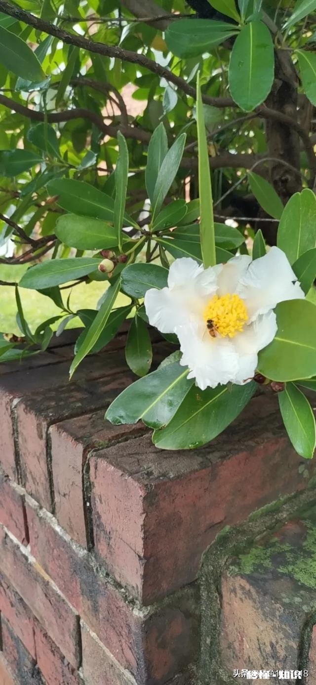 活在当下，除了生死看淡，还有什么值得你留恋