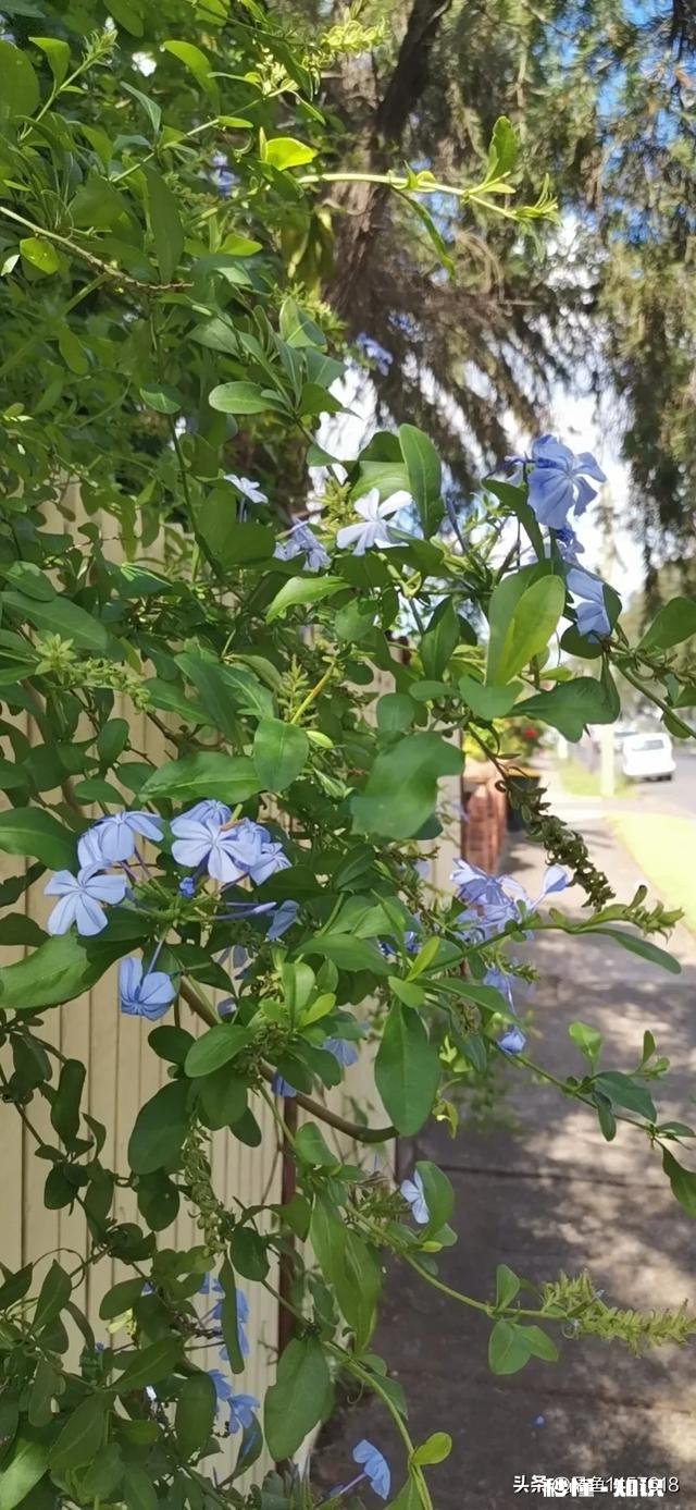 活在当下，除了生死看淡，还有什么值得你留恋