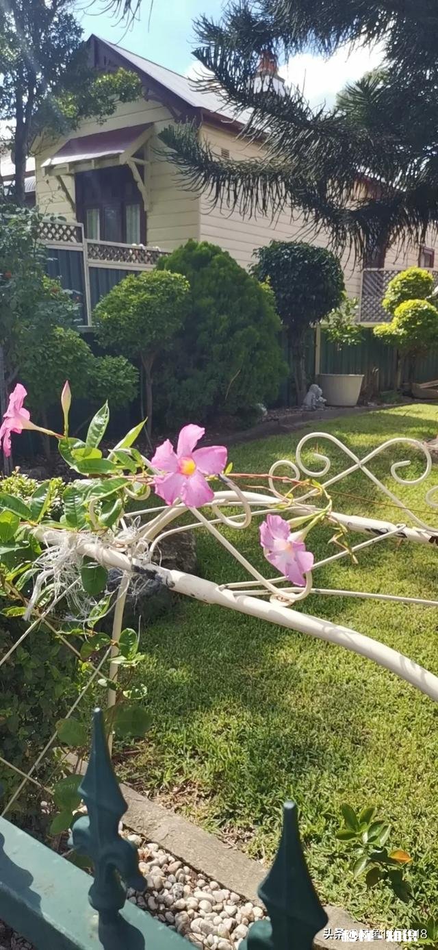 活在当下，除了生死看淡，还有什么值得你留恋