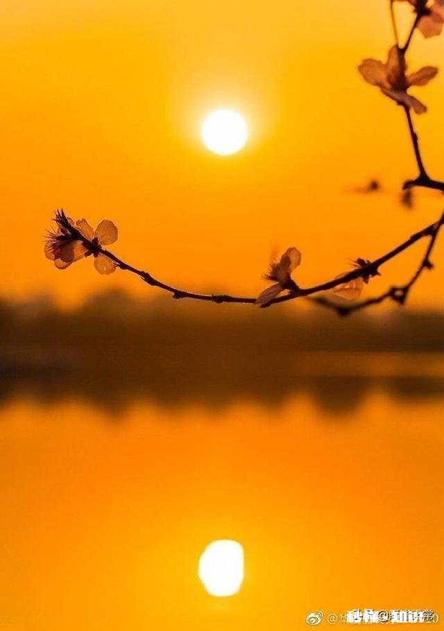 为什么有很多人或很多事物,要失去才懂得珍惜呢