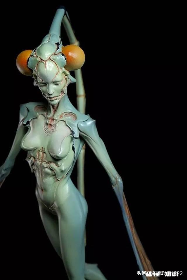 下了肠虫清,鱼身上怎么有一层白色