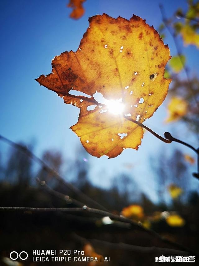 华为手机相机的专业模式都能用来拍什么题材光圈可以设置吗如何设置光圈