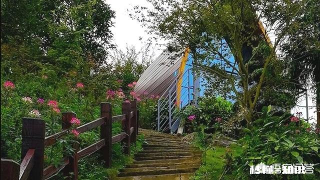 什么样的摄影作品具备“市场价值”摄影人如何拍摄出具备“市场价值”的摄影作品呢