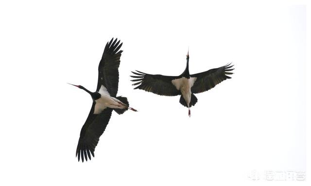 什么样的摄影作品具备“市场价值”摄影人如何拍摄出具备“市场价值”的摄影作品呢