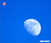 什么样的摄影作品具备“市场价值”摄影人如何拍摄出具备“市场价值”的摄影作品呢