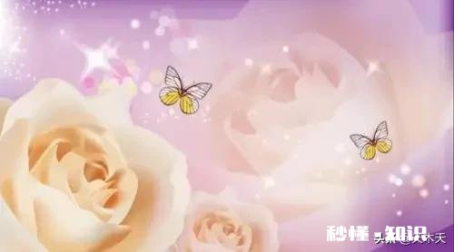 想放下，却抵不住席卷而来的思念，该怎么办