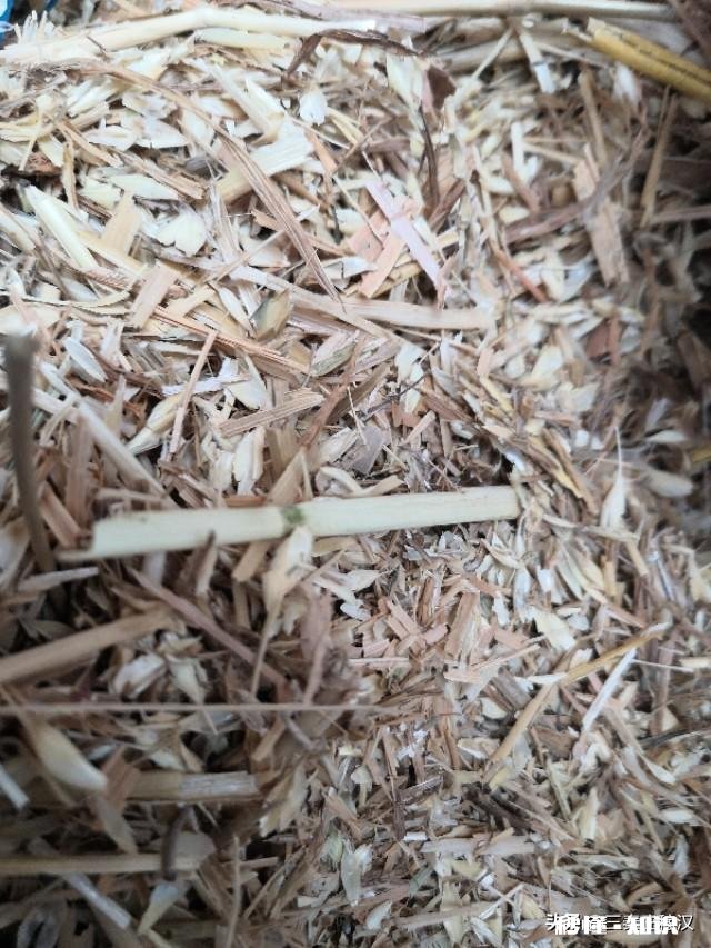 麸皮是小麦的壳吗