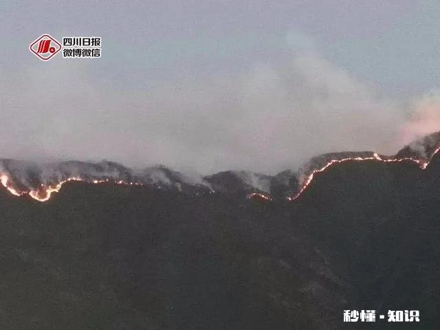 官方通报凉山木里3.28森林火灾是由11岁男孩点燃树木引发，他需要承担什么责任