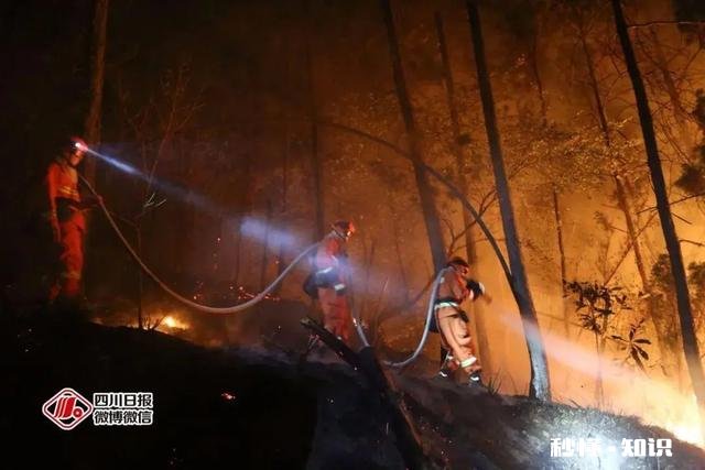 官方通报凉山木里3.28森林火灾是由11岁男孩点燃树木引发，他需要承担什么责任