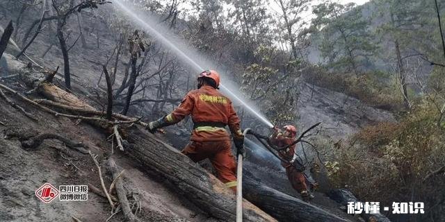 官方通报凉山木里3.28森林火灾是由11岁男孩点燃树木引发，他需要承担什么责任