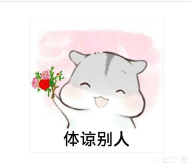 学生应该怎样挑老师的毛病