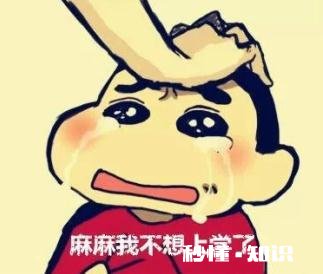 统招专升本真的会受歧视吗