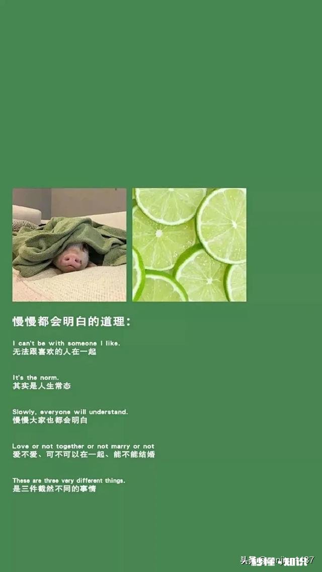 你后悔认识他并爱上他吗