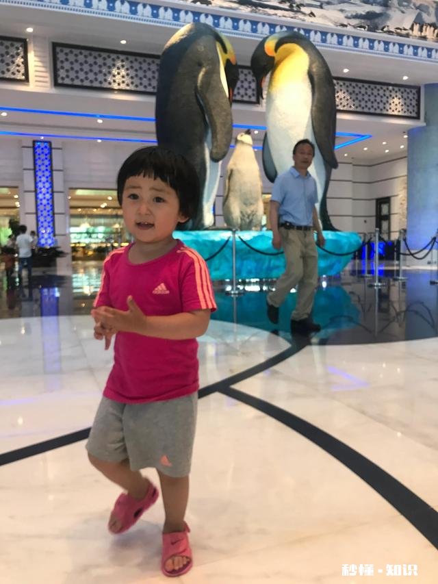 孩子那么辛苦了，为啥还要给他报各种补习班