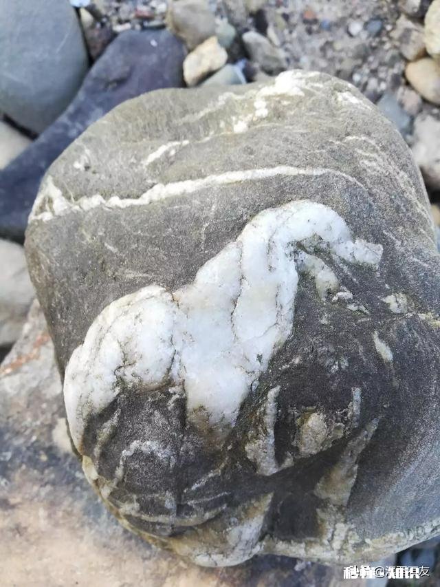 玩石就这么简单，只要自己喜欢，愉悦心情便好，您认为呢