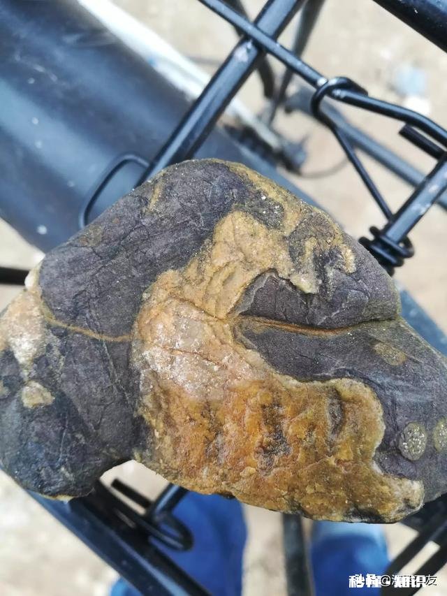 玩石就这么简单，只要自己喜欢，愉悦心情便好，您认为呢