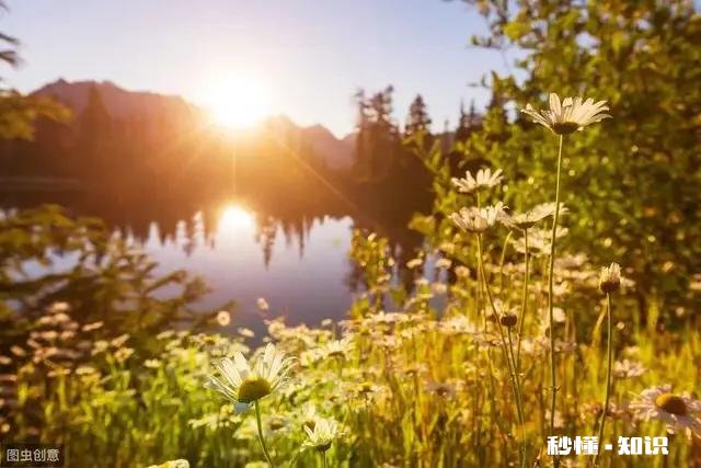 对逐年增多的剩男剩女，能分享一下你自己或者别人脱单的故事吗怎么样