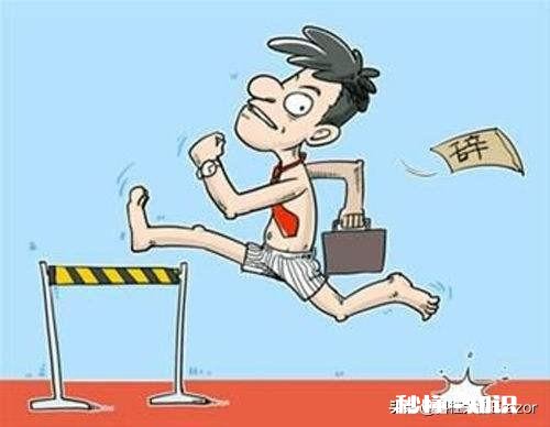 裸辞和骑驴找马哪个好