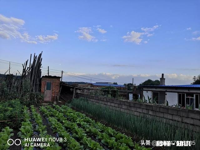 如果您在农村有一山一地一院一房，您愿意在农村创业吗为什么