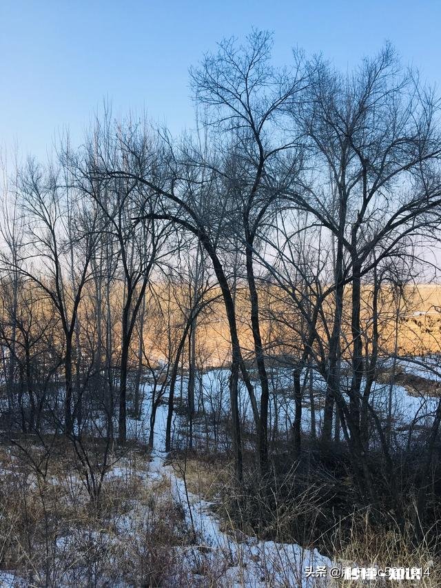 如果您在农村有一山一地一院一房，您愿意在农村创业吗为什么
