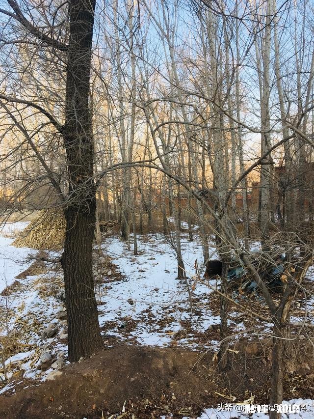 如果您在农村有一山一地一院一房，您愿意在农村创业吗为什么