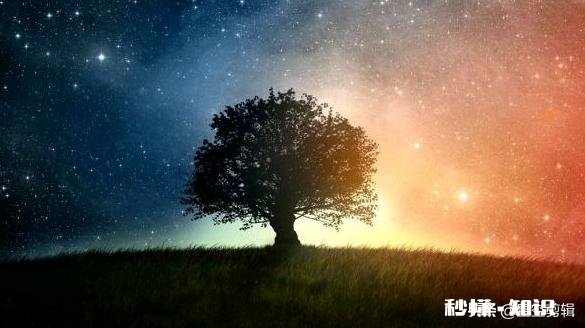 《爱情公寓5》中有无抄袭的地方