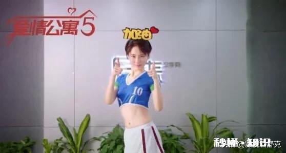 《爱情公寓5》中有无抄袭的地方