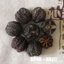 软枣树能接苹果树吗