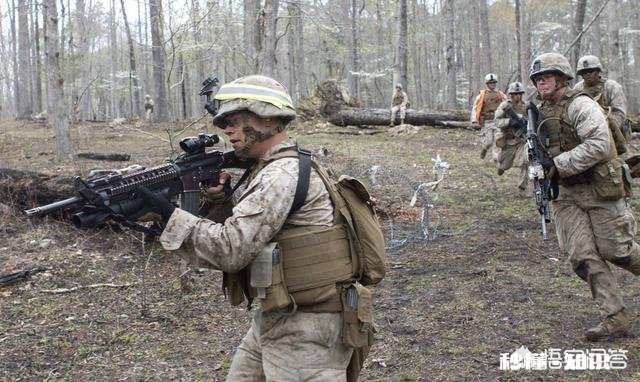 海军陆战队和陆军有什么区别