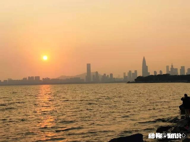 立领衣服怎么改成翻领