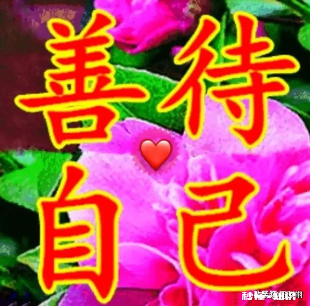 什么样的女人不怕离婚,而且会越嫁越好