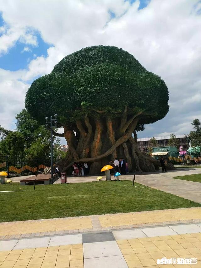 在生活中，有哪些是夫妻之间的小习惯