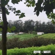 在城市边上打造私人菜园，会有人租吗