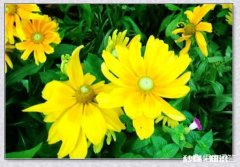 如何将独处与人际关系平衡好