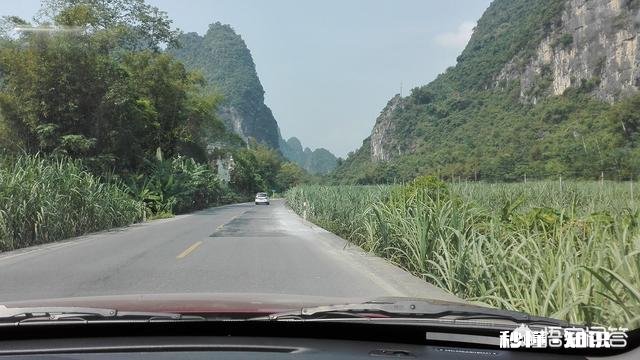 五一假期想带孩子去猴子多的地方玩,有没有什么好的推荐啊