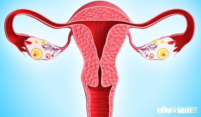 我今年四十八岁了，每月月经都提前，怎么这个月都四十多天了没有来