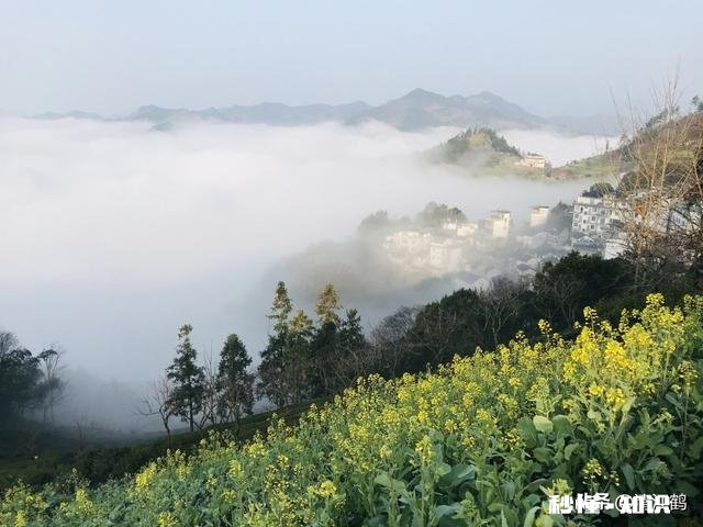 如何挑到高产的玉米种子