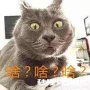 上联：六个钱包凑首付，如何对下联