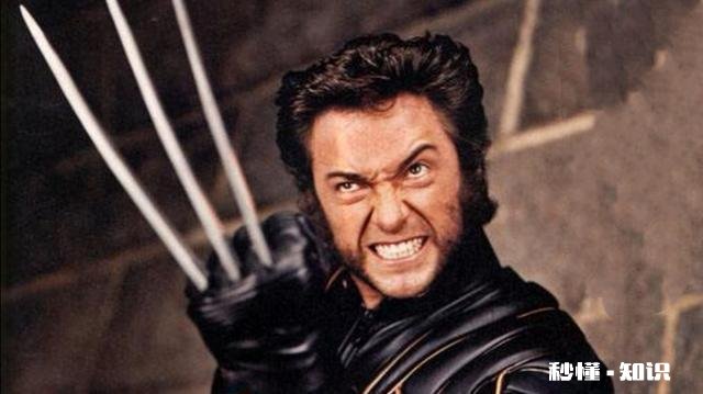 漫威中的永恒族和异人族有什么区别