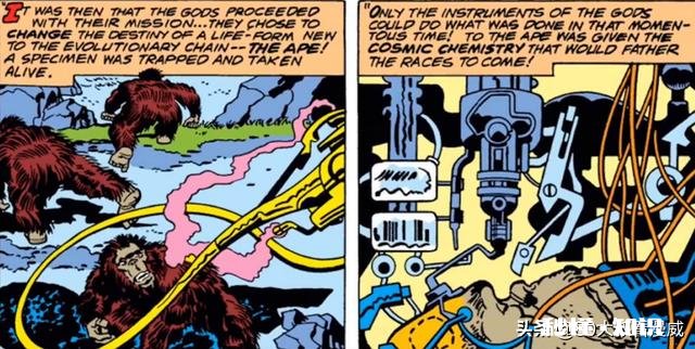 漫威中的永恒族和异人族有什么区别