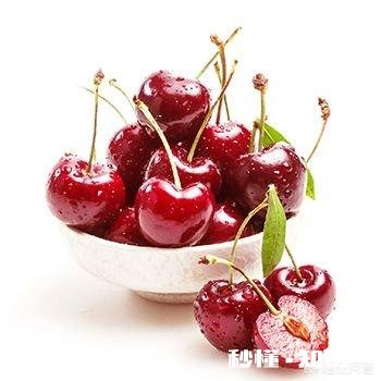 19年烟台车厘子大概多少钱一斤